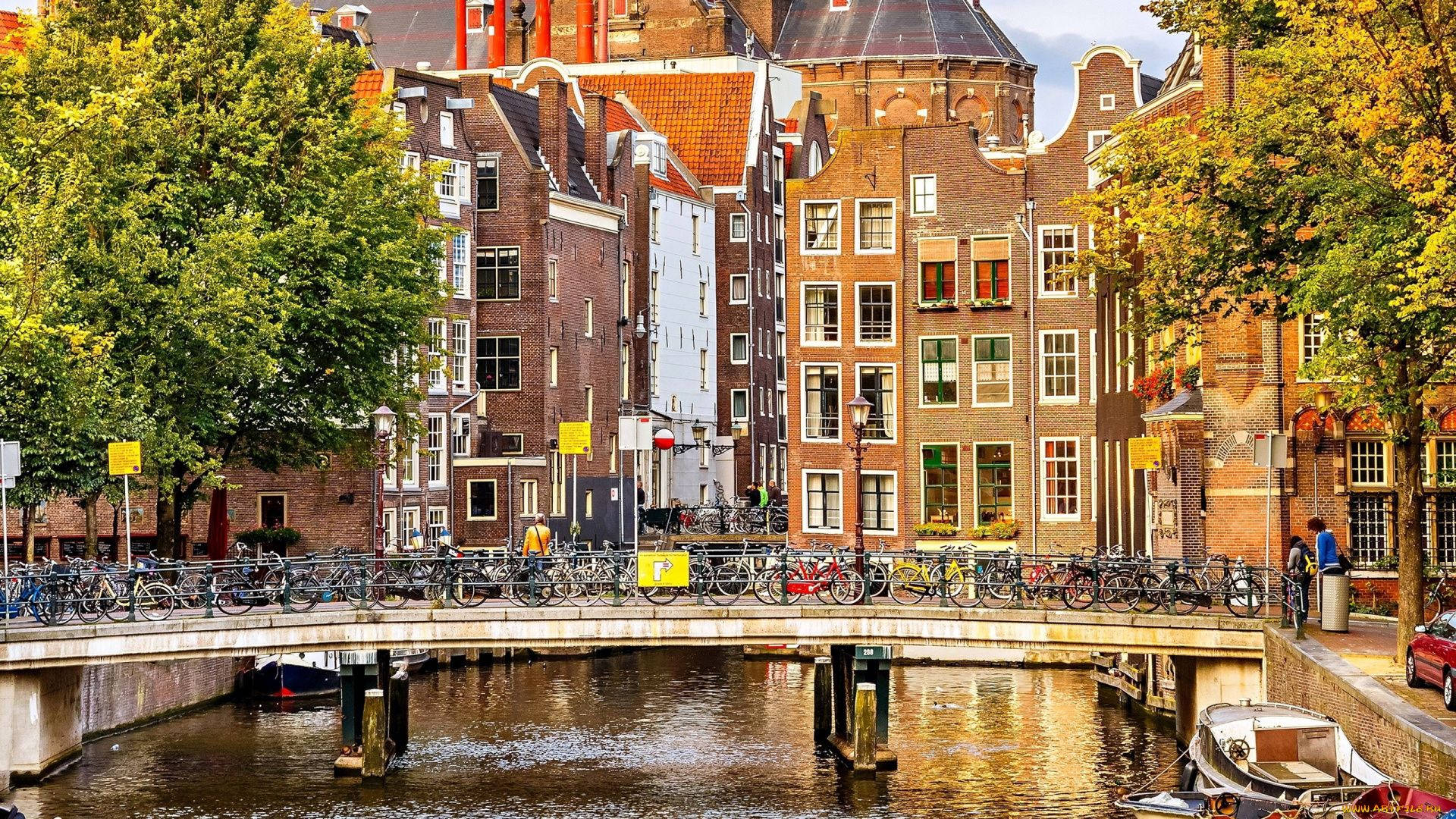 Barriorojo De Ámsterdam En Europa Fondo de pantalla
