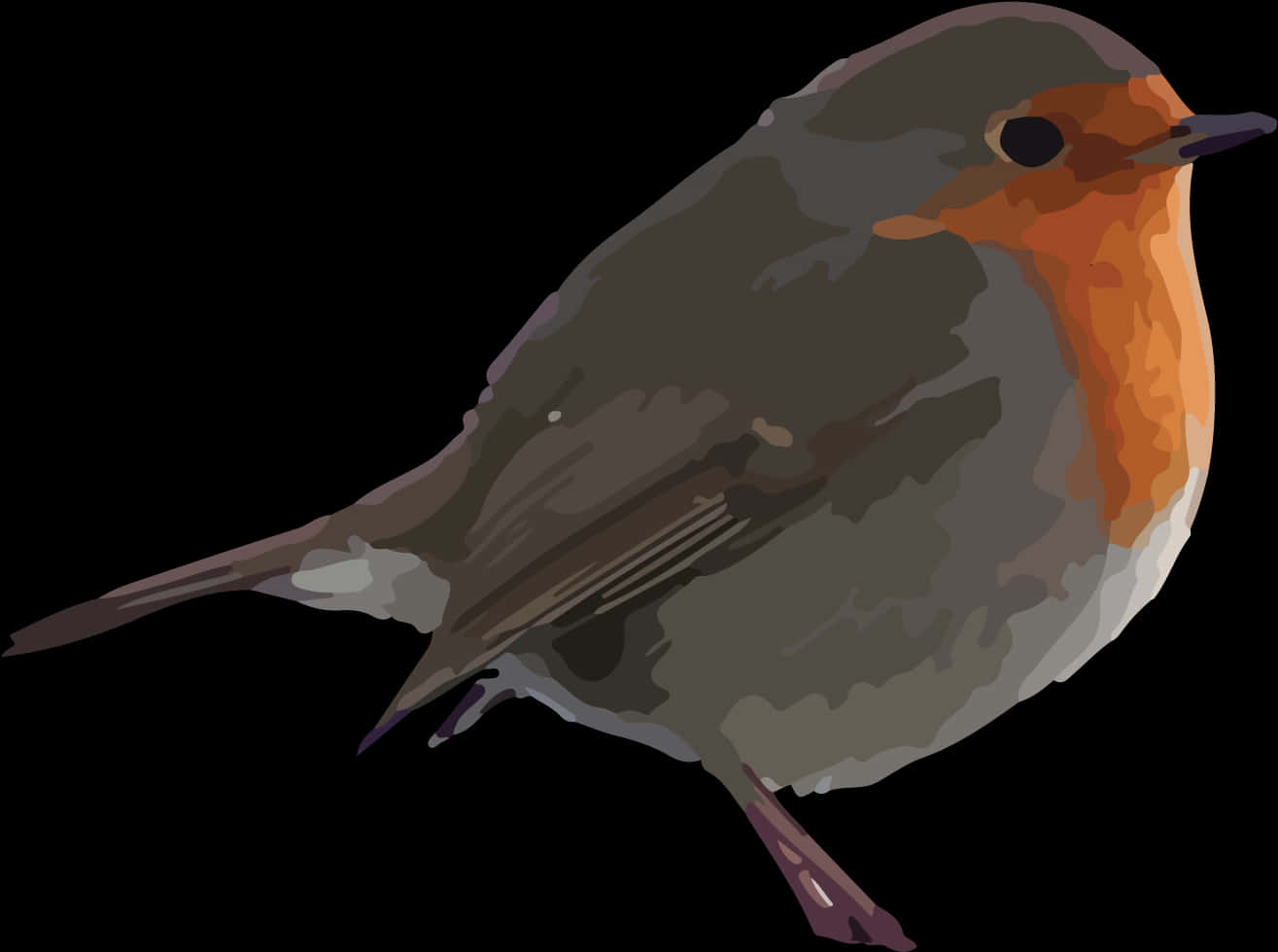 European Robin Illustration PNG