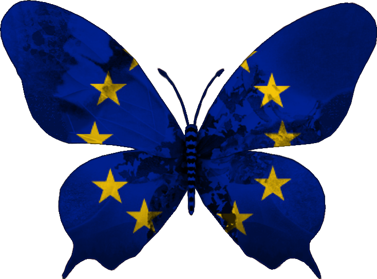 European Union Flag Butterfly PNG
