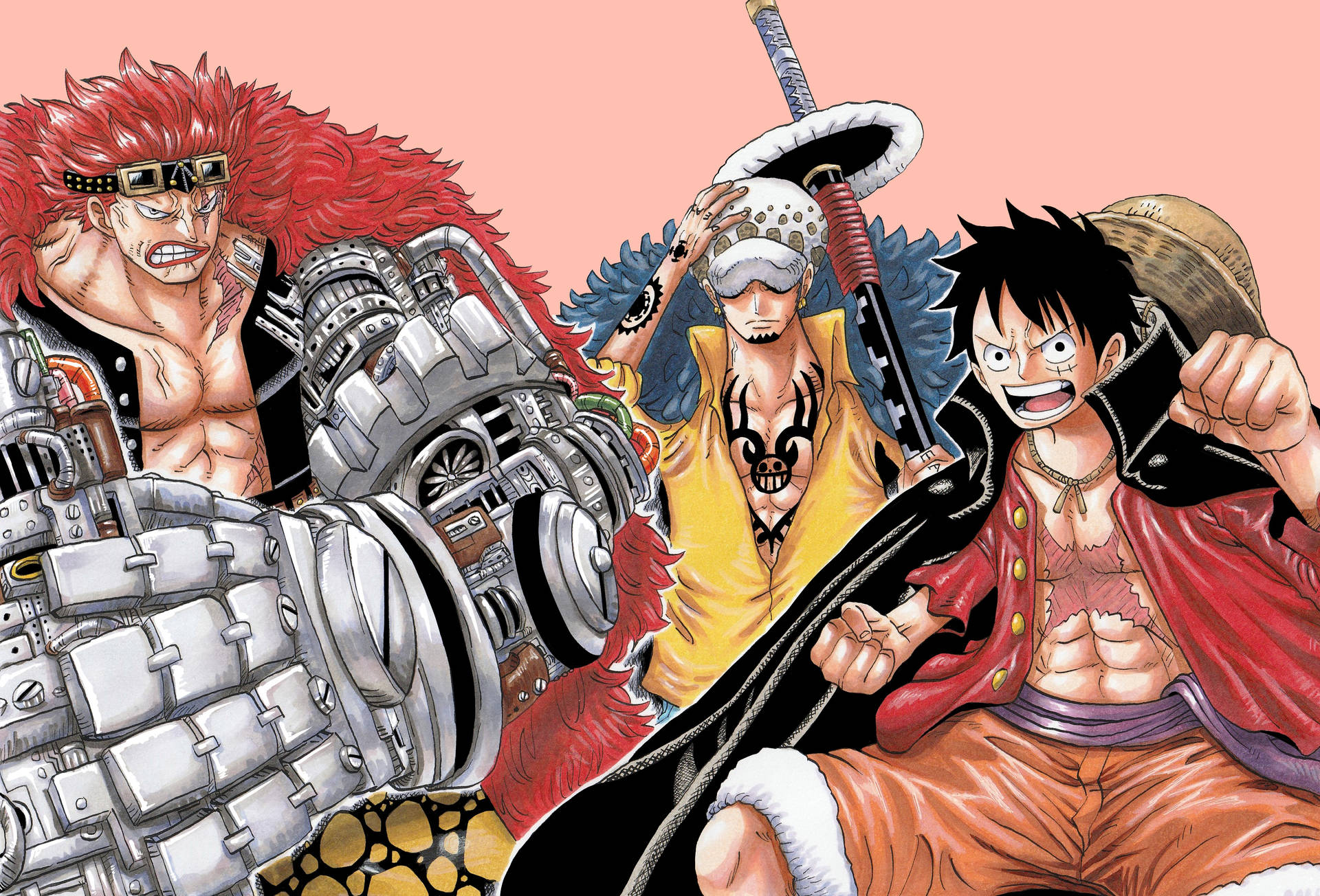 846 Wallpaper Luffy Law Kid Images & Pictures - MyWeb