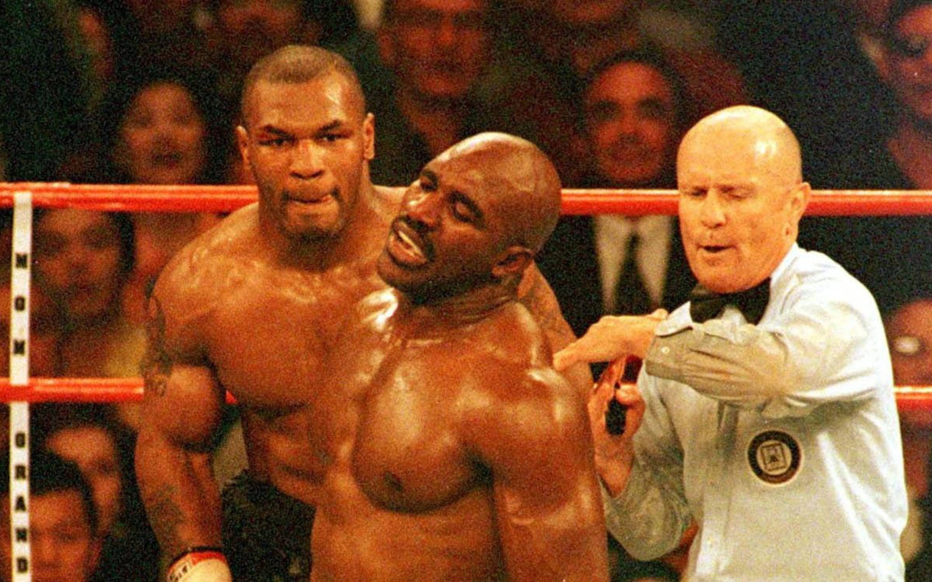 Evander Holyfield Assessed By Referee Wallpaper