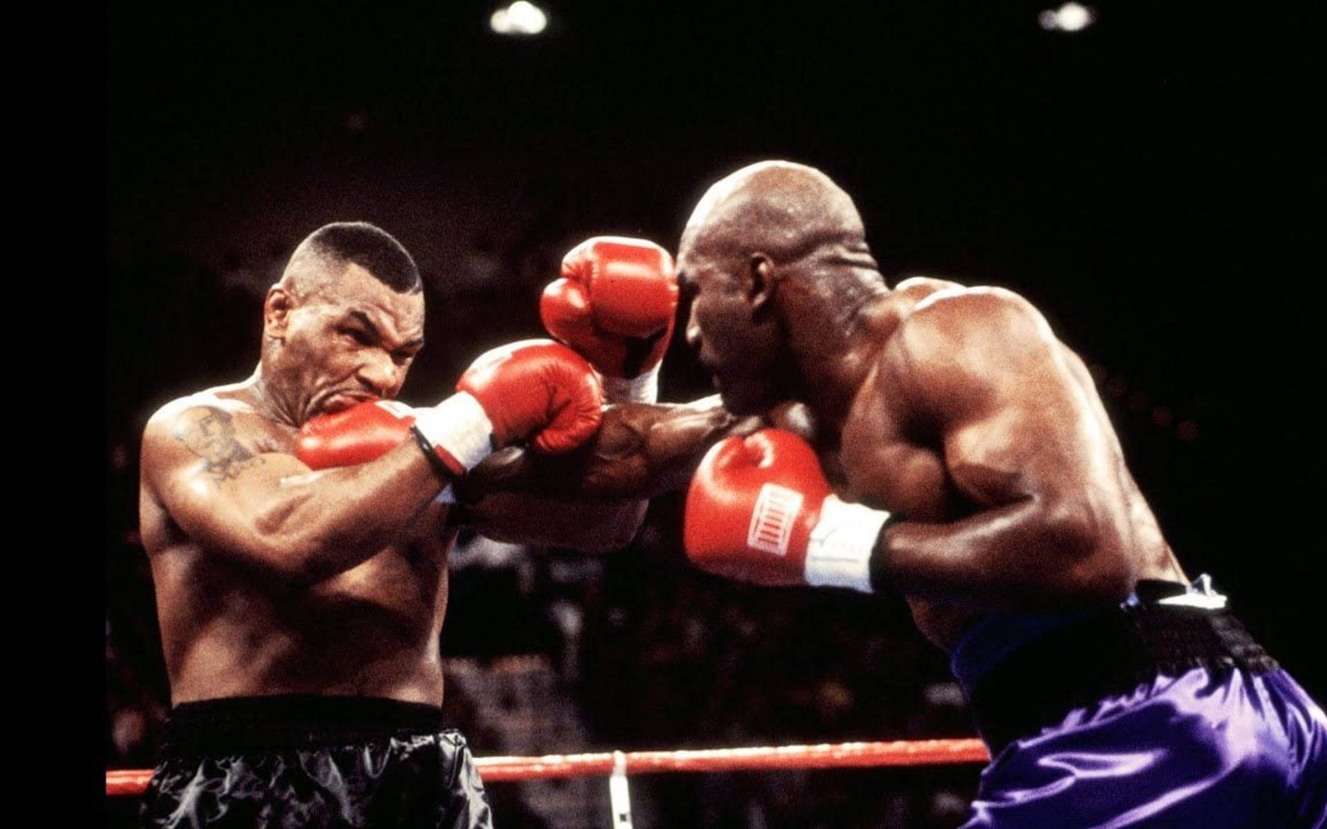 Evander Holyfield Punches Mike Tyson Wallpaper