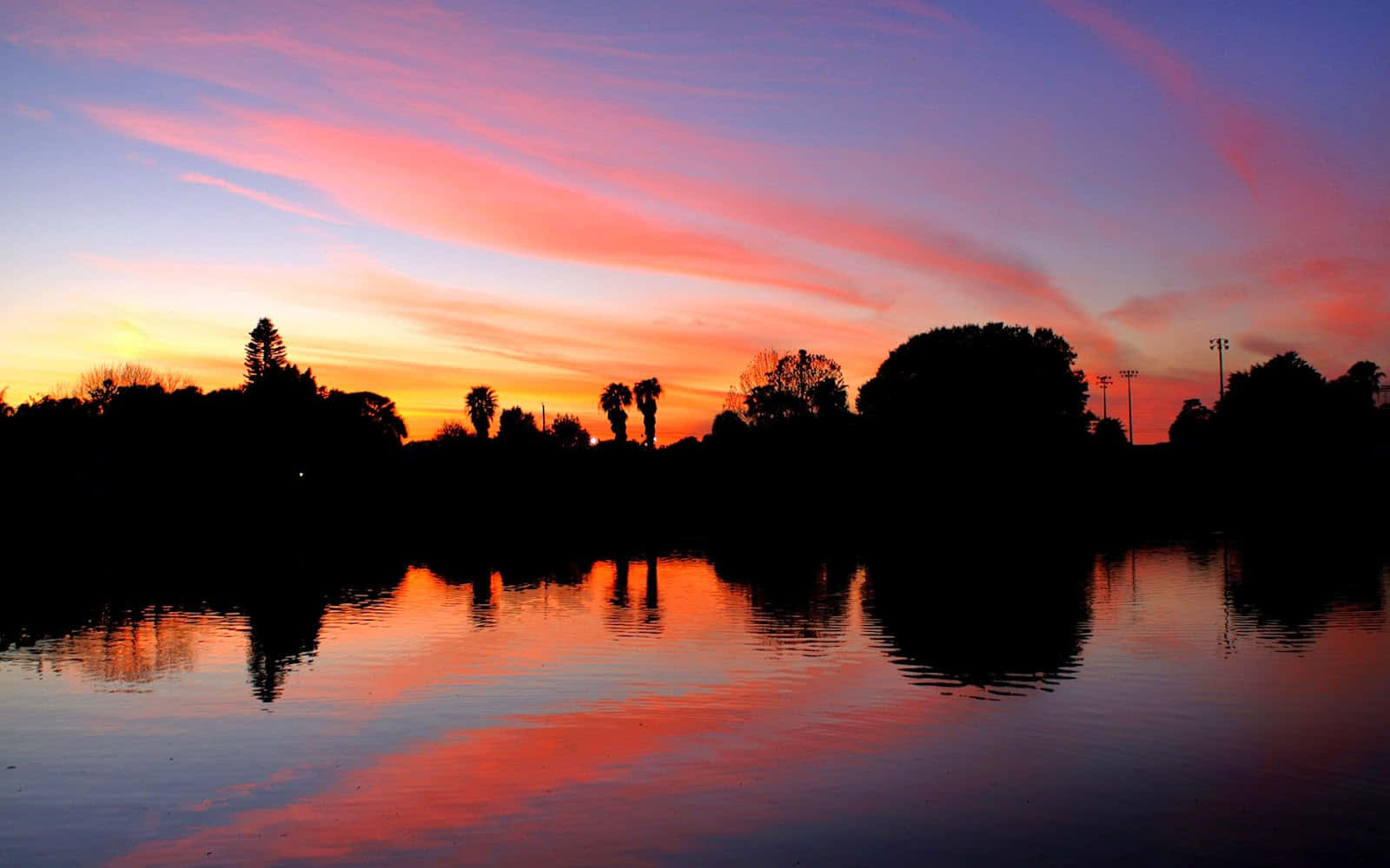 A Serene Evening by the Lake