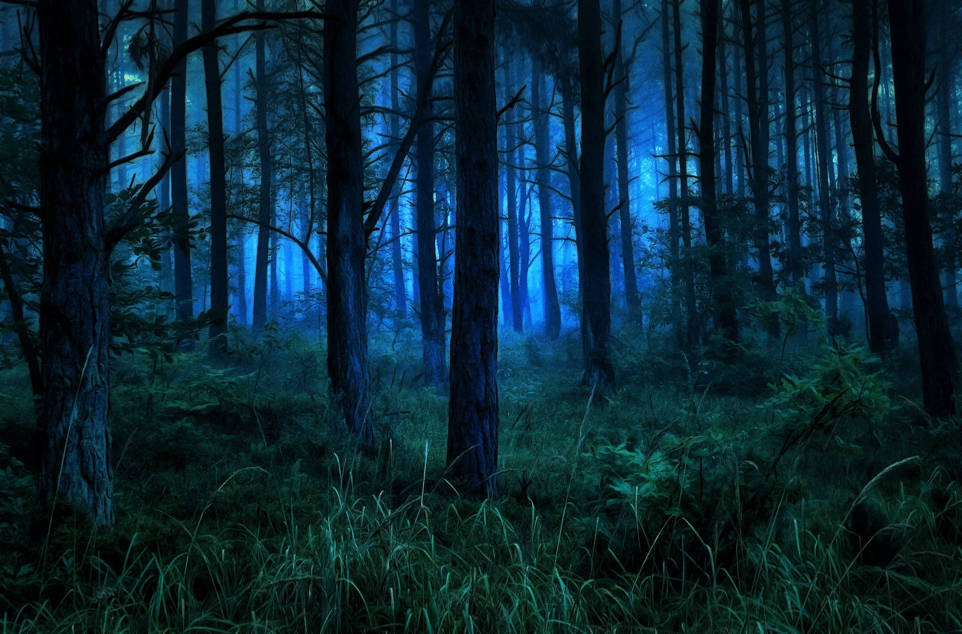 Evening Dark Forest Iphone Wallpaper