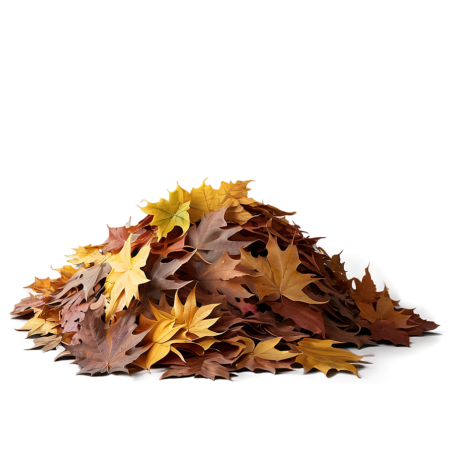 Evening Leaf Pile Png 06202024 PNG