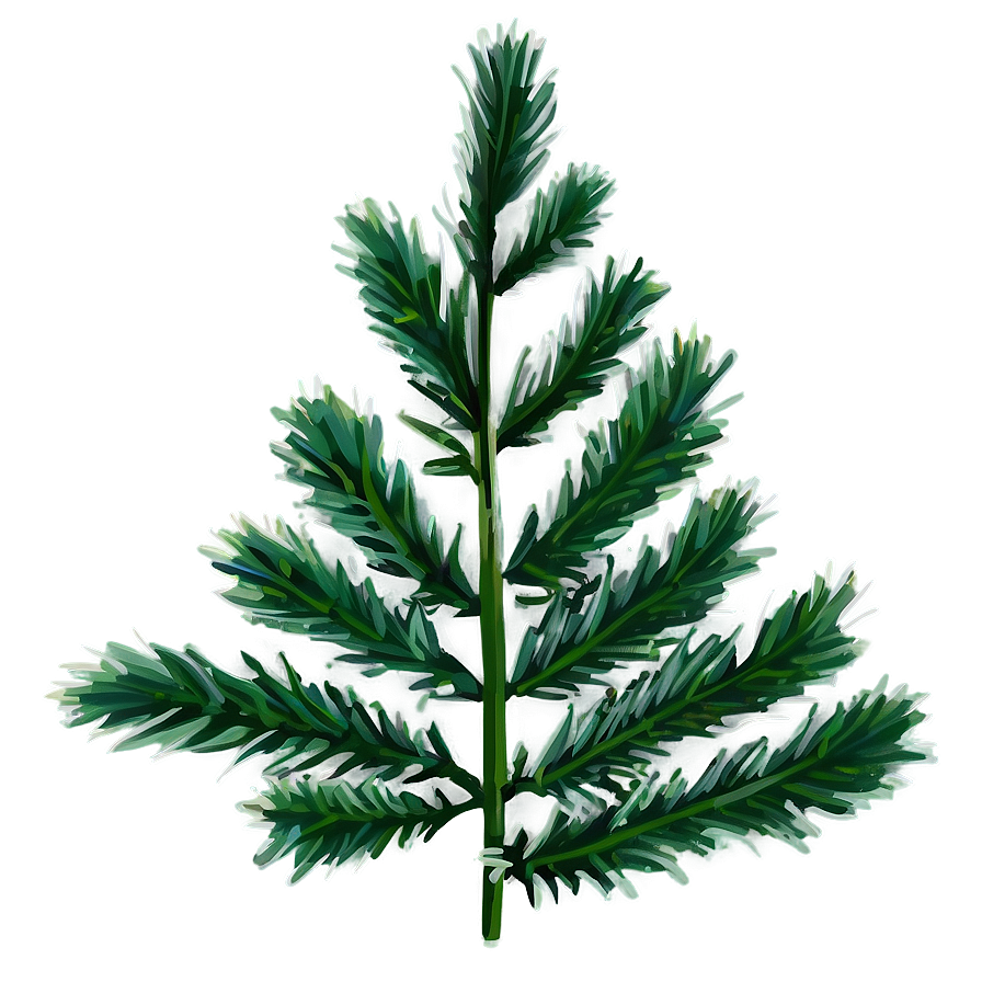 Download Evergreen Plant Png Cle | Wallpapers.com