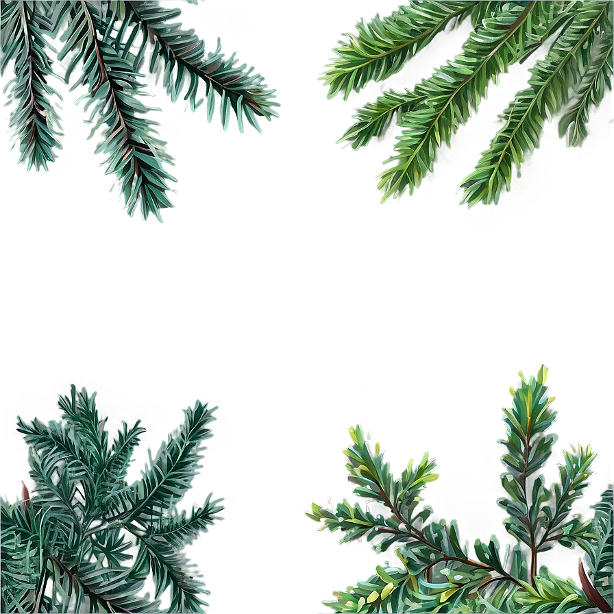 Evergreen Plants Png Ehp PNG