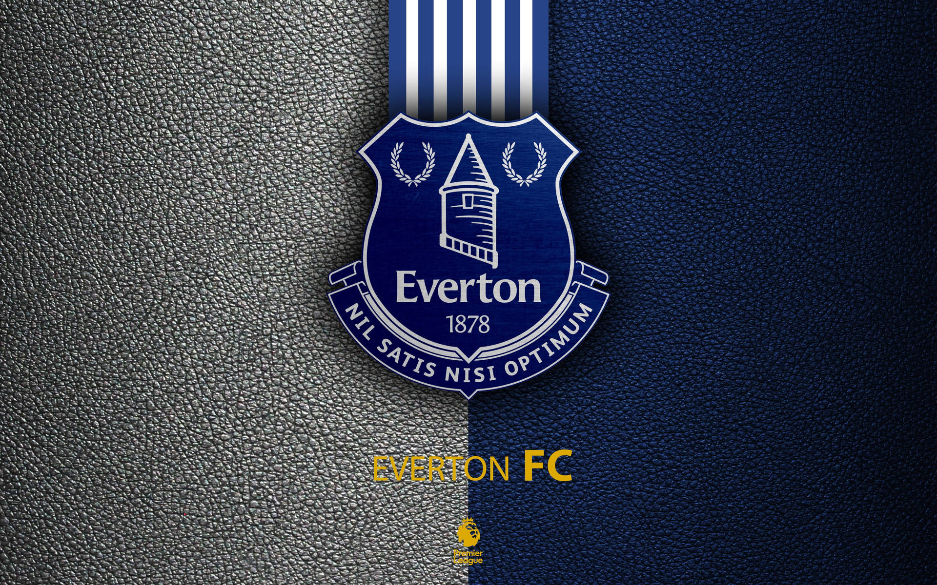 Everton F.C. Grå og sort Splash Tapet Wallpaper