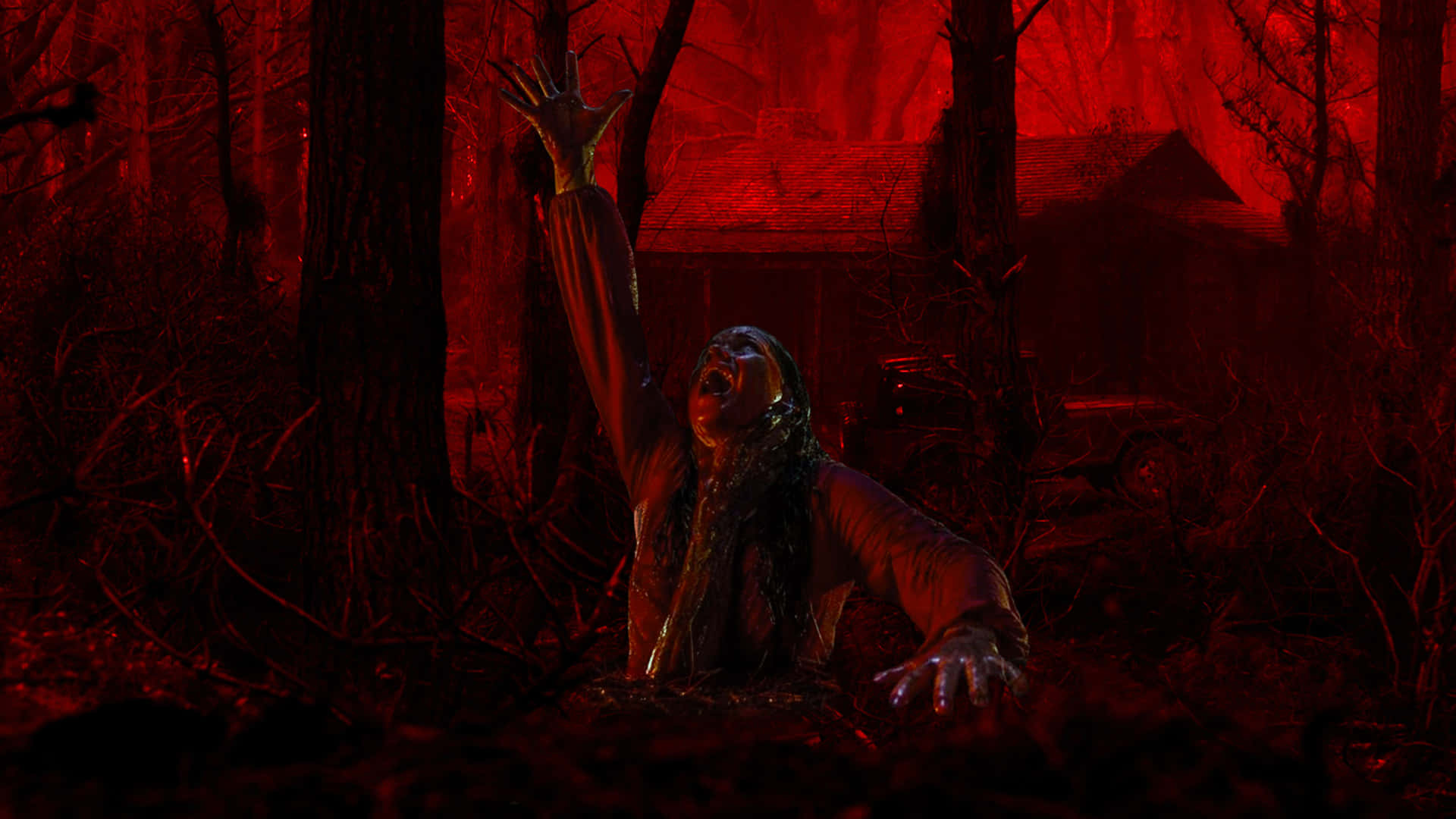Evil Dead Bloody Mia Background