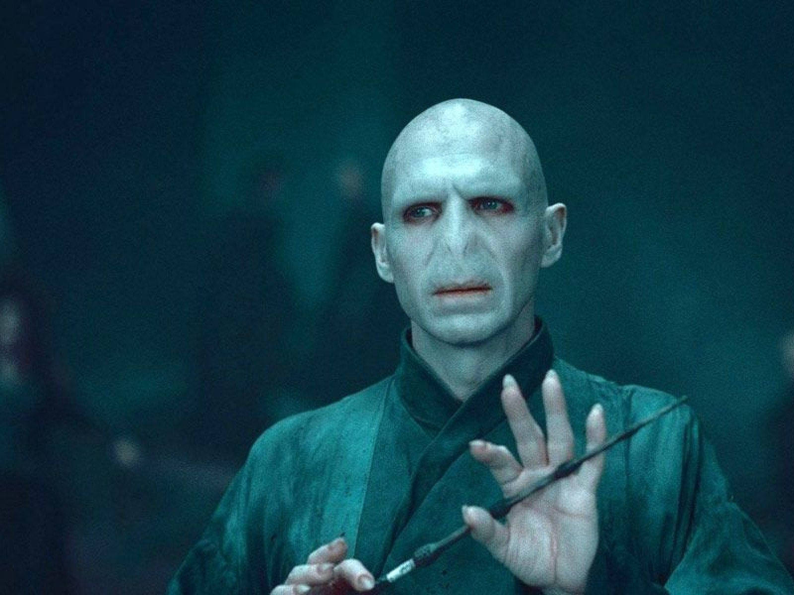 Evil Wizard Lord Voldemort