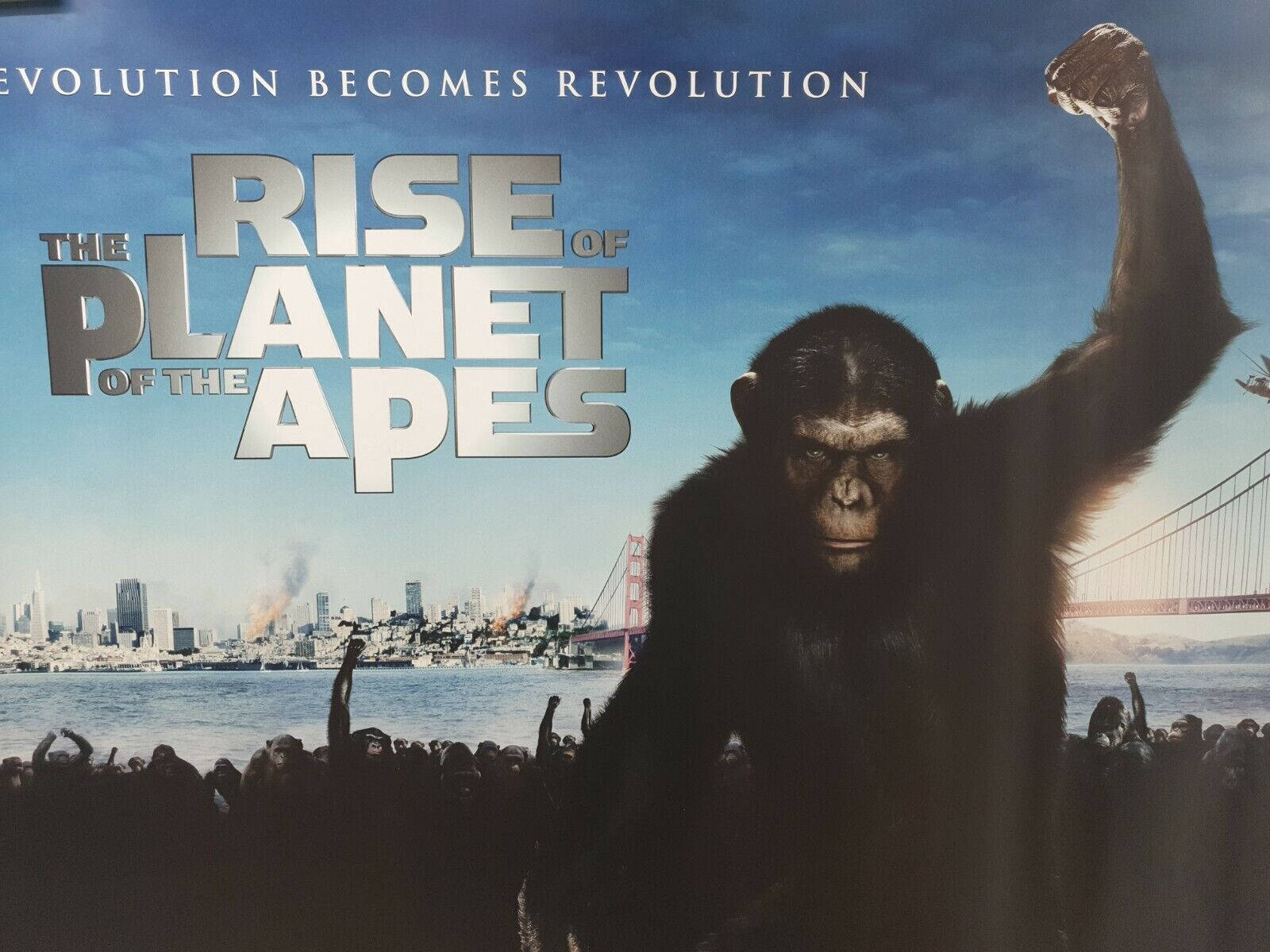 Evolutionblir Revolution - Planet Of The Apes. Wallpaper