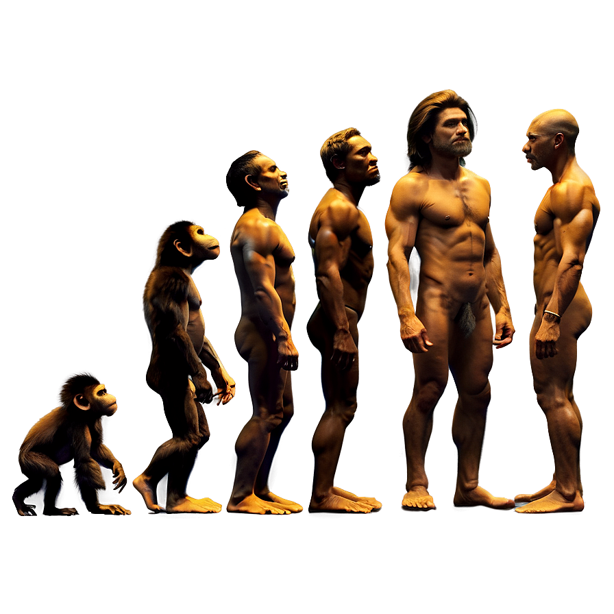 Evolution Of Cinema Png Tnm86 PNG