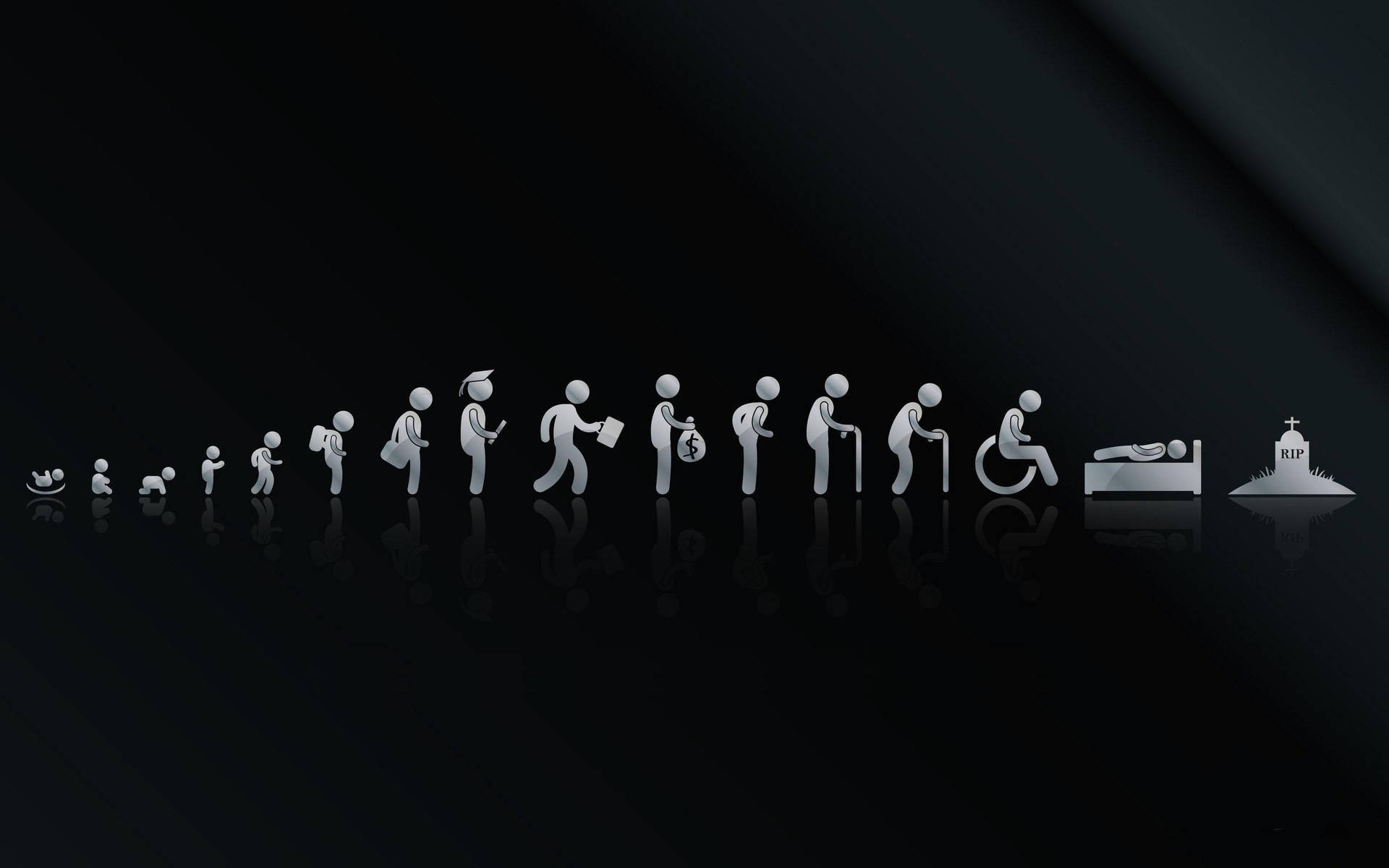 Evolution Of Life Desktop Wallpaper