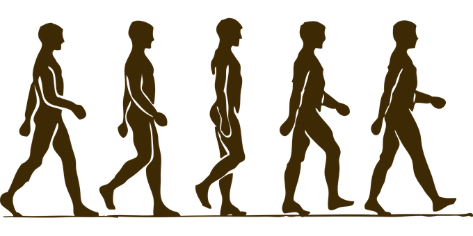 Evolutionof Man Silhouette PNG