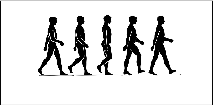 Evolutionof Man Silhouette PNG
