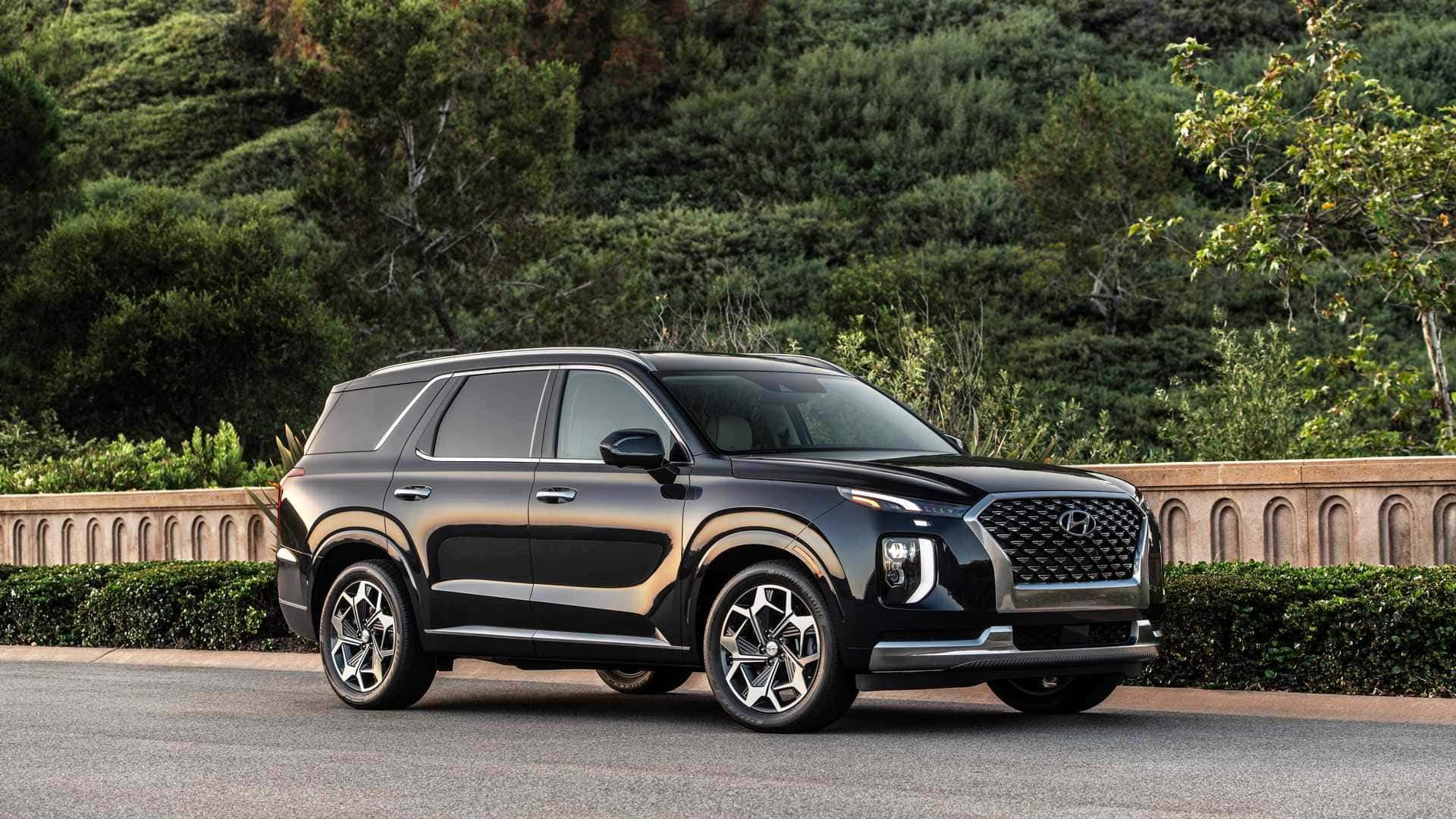 Exceptional Elegance In Motion - Hyundai Palisade Wallpaper