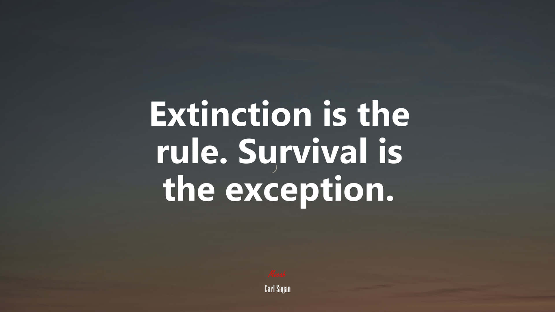 Exceptional Quote On Extinction And Survival Wallpaper