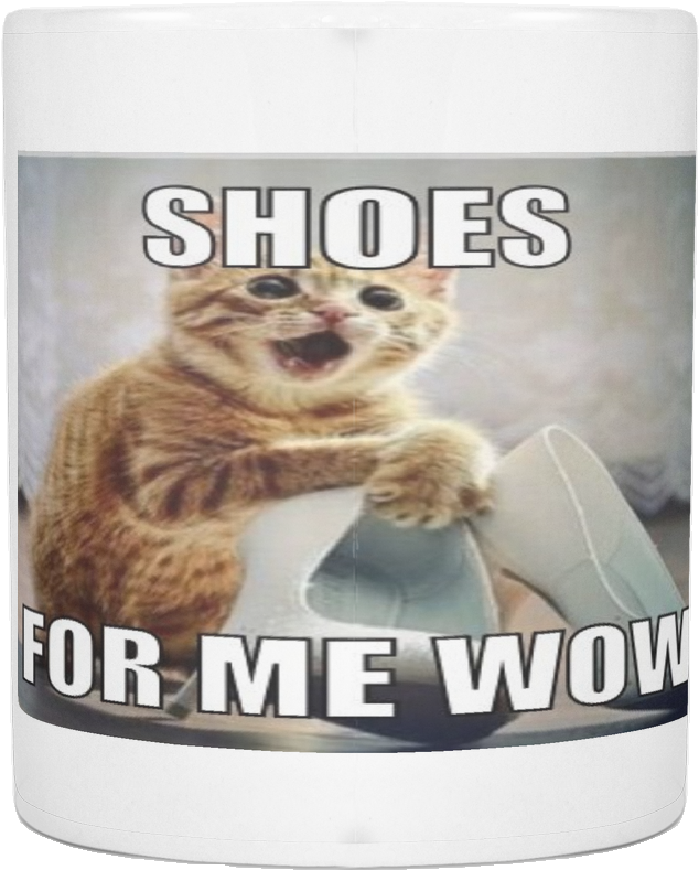 Excited Cat With Shoes Meme PNG