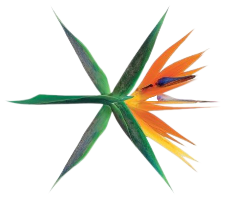 Exo Group Logo Stylized Flower PNG