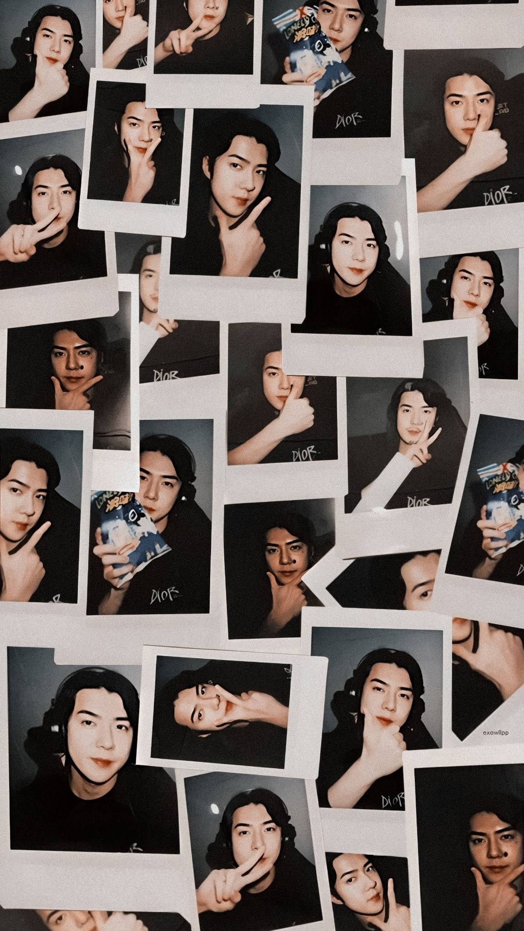 Exo Sehun Polaroids