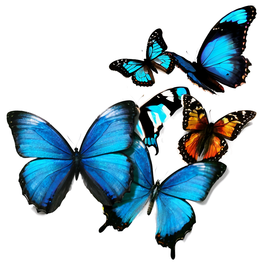 Exotic Blue Butterflies Png 56 PNG