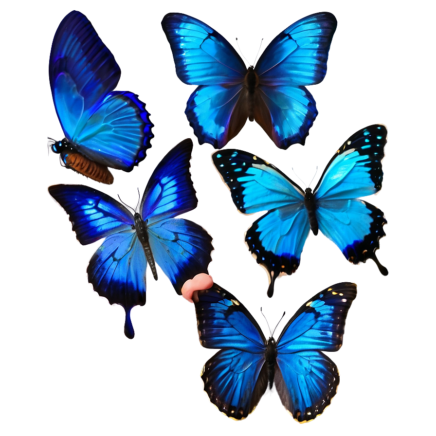 Exotic Blue Butterflies Png Kts43 PNG