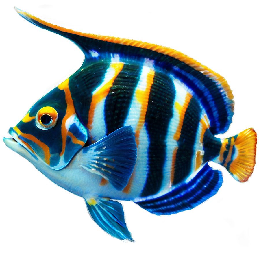 Exotic Fish Species Png 06132024 PNG