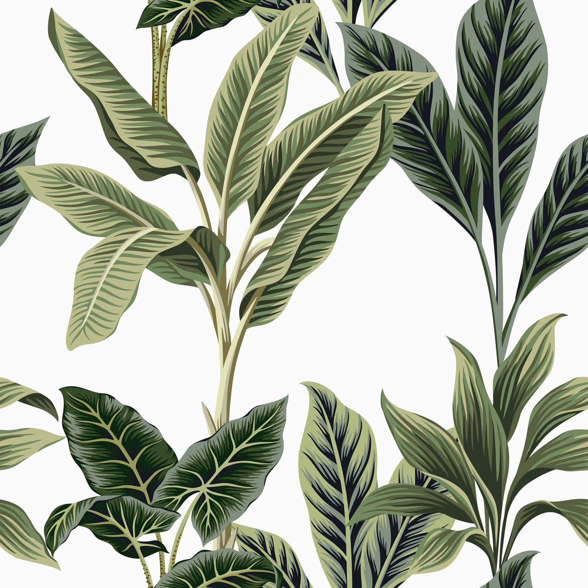 Exotic Minimalist Leaves [wallpaper] Wallpaper