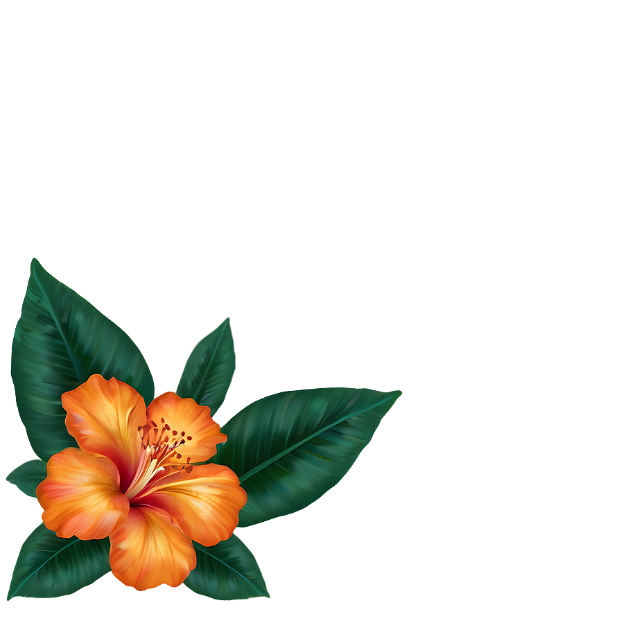 Exotic Orange Floral Png Pxl PNG