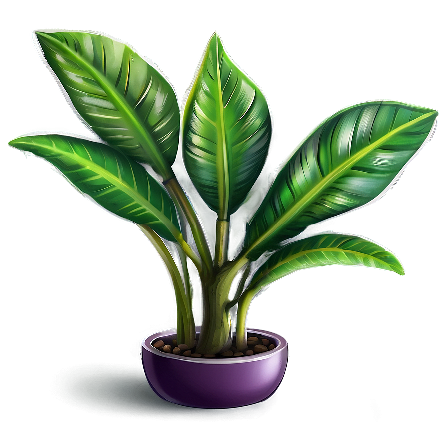 Exotic Plant Png Ehy PNG