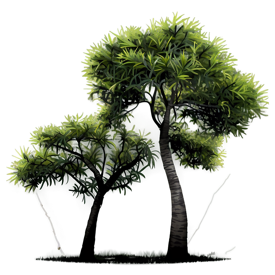 Exotic Tree Elevation Png Lhk PNG