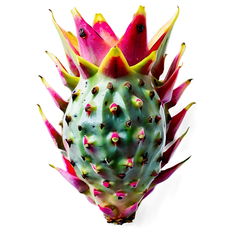 Exotic Tropical Dragonfruit Png Duf PNG