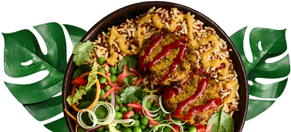 Exotic Vegetable Rice Bowl PNG