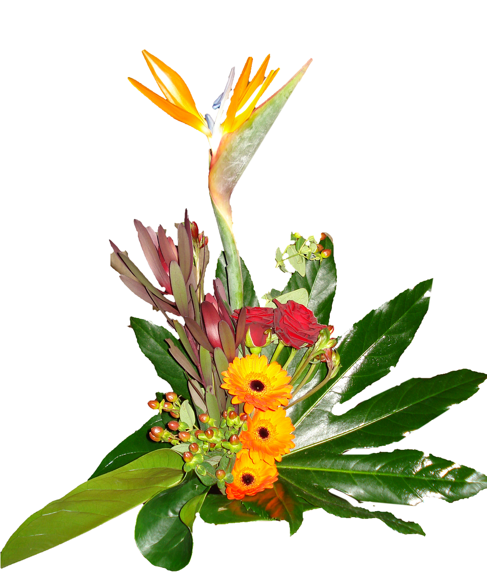 Exotic_ Floral_ Arrangement.png PNG