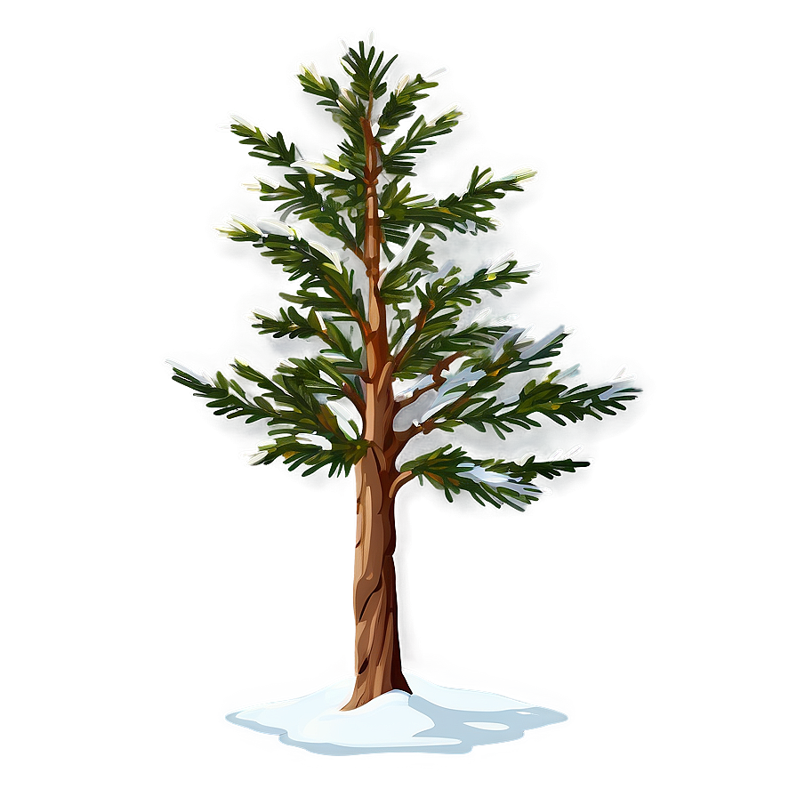 Expansive Spruce Tree Png Hct PNG