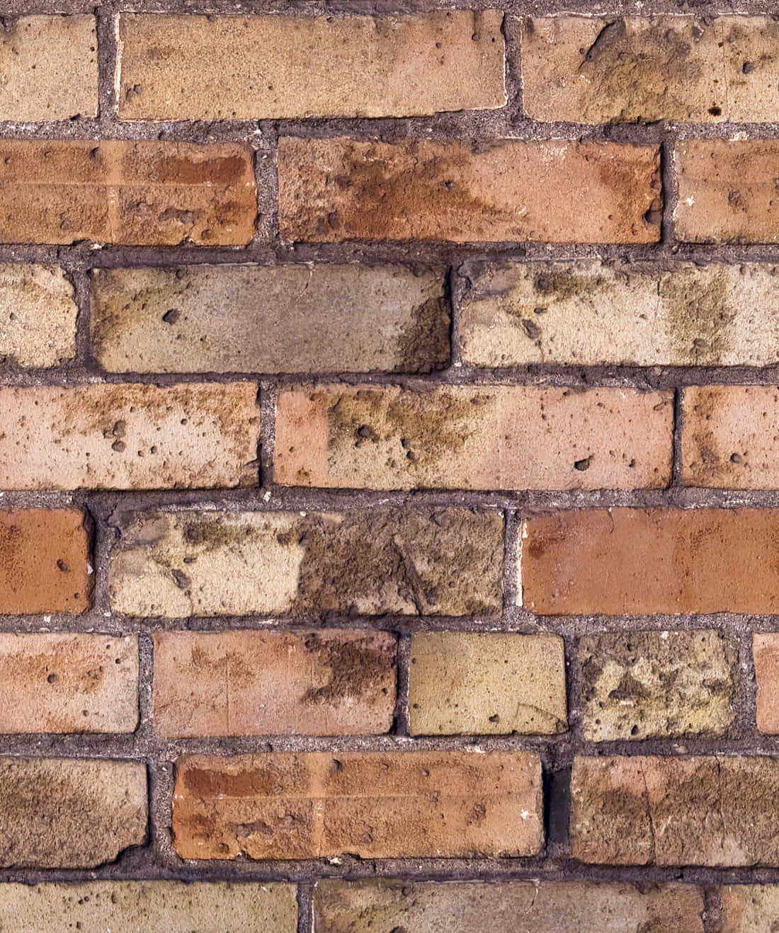 Exposed Dirty Bricks Wallpaper
