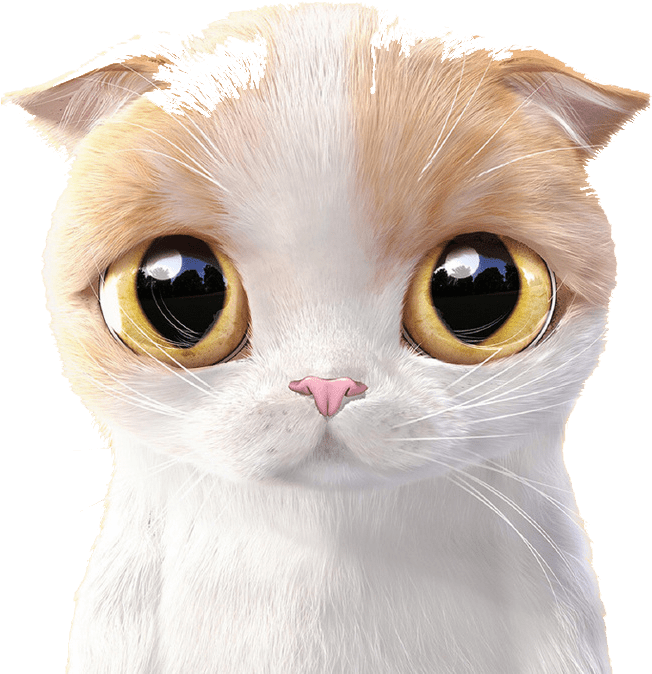 Expressive Cartoon Cat Face PNG