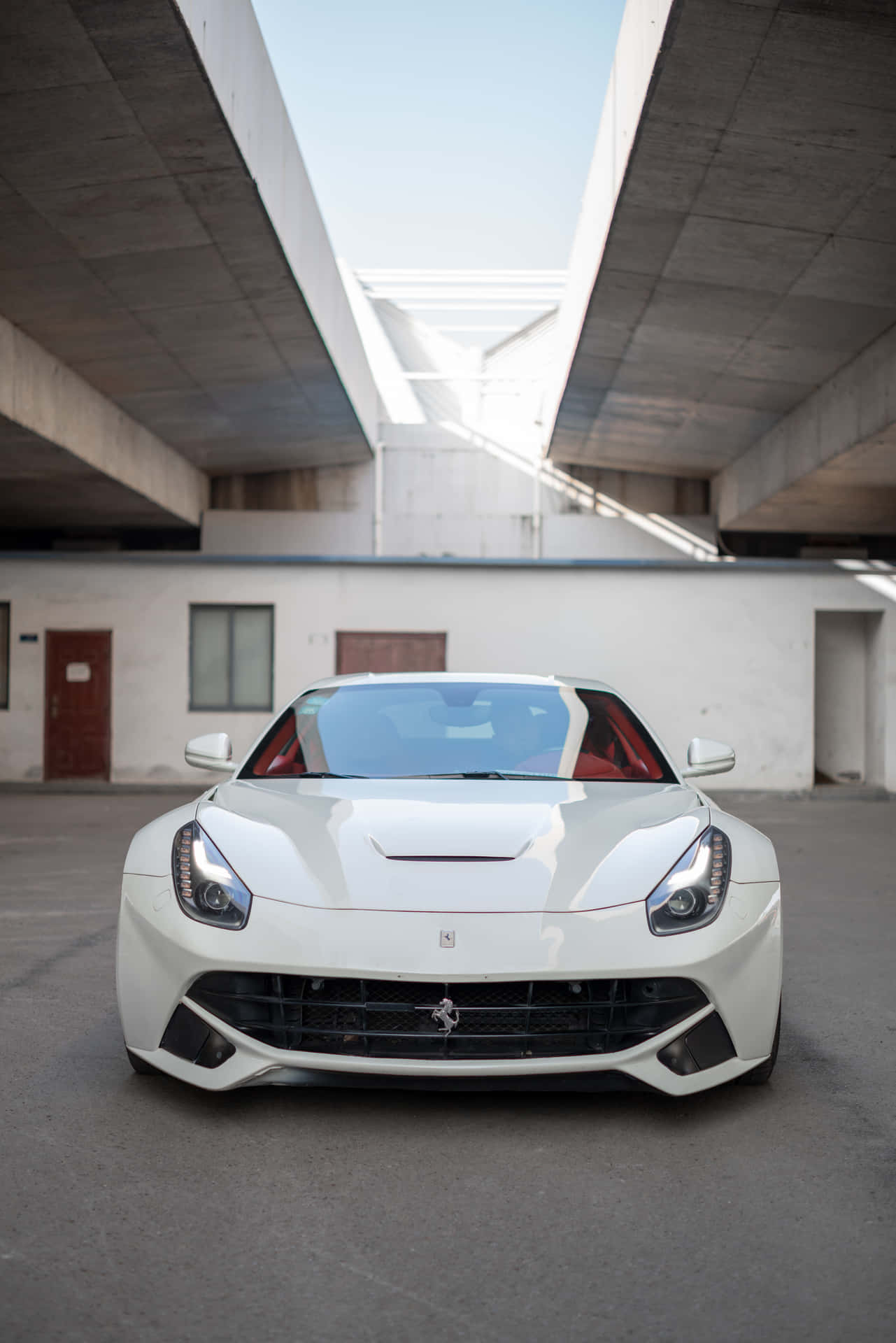Exquisite Ferrari Power