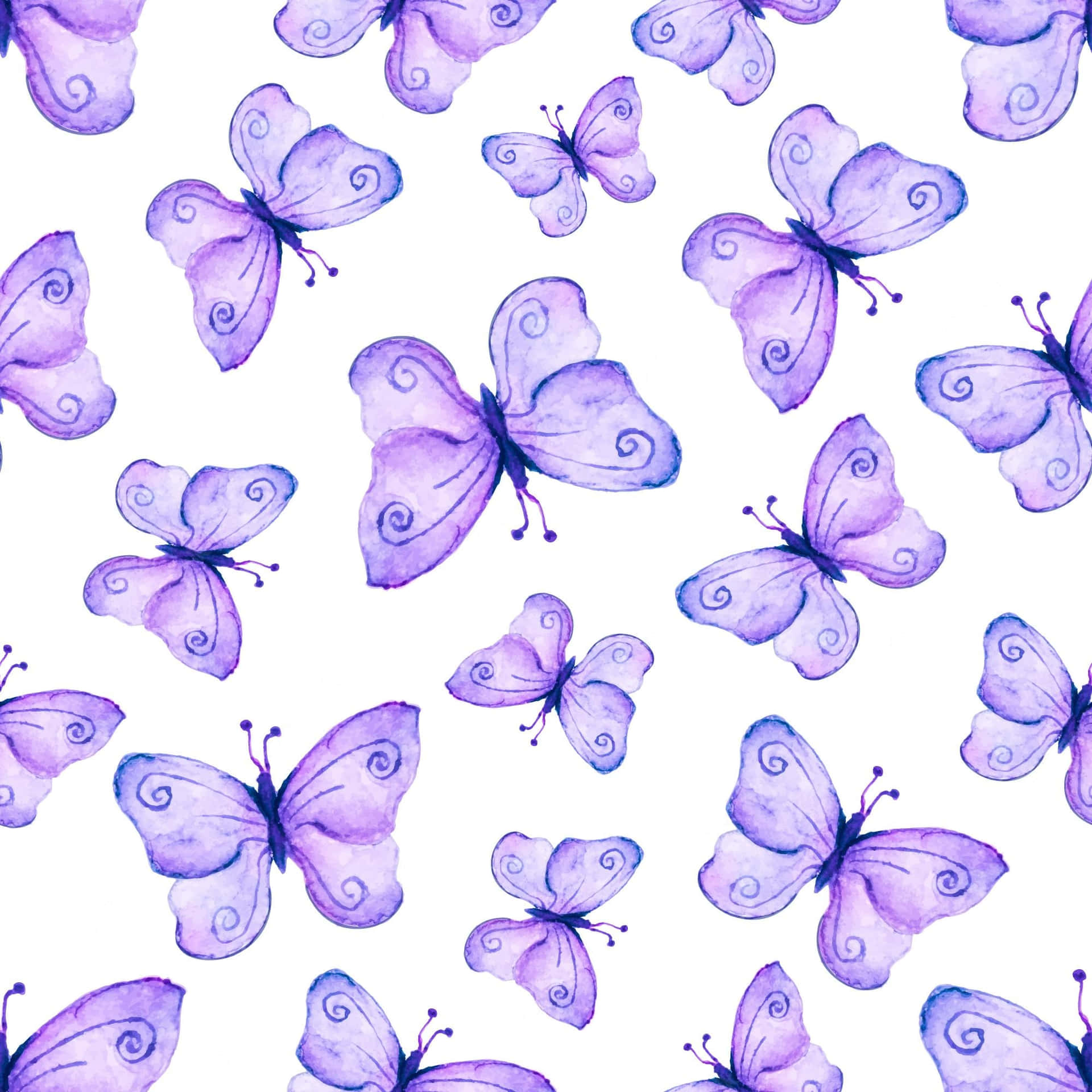 Exquisite Purple Butterfly On Floral Background