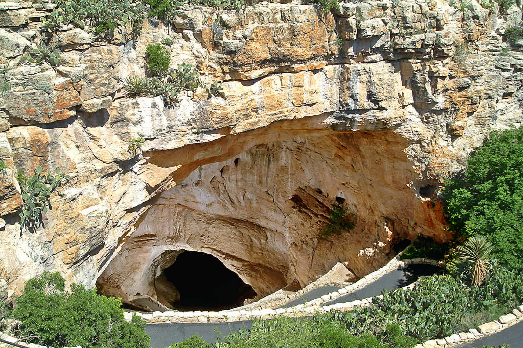 Splendidavista Del Parco Nazionale Delle Grotte Di Carlsbad Sfondo