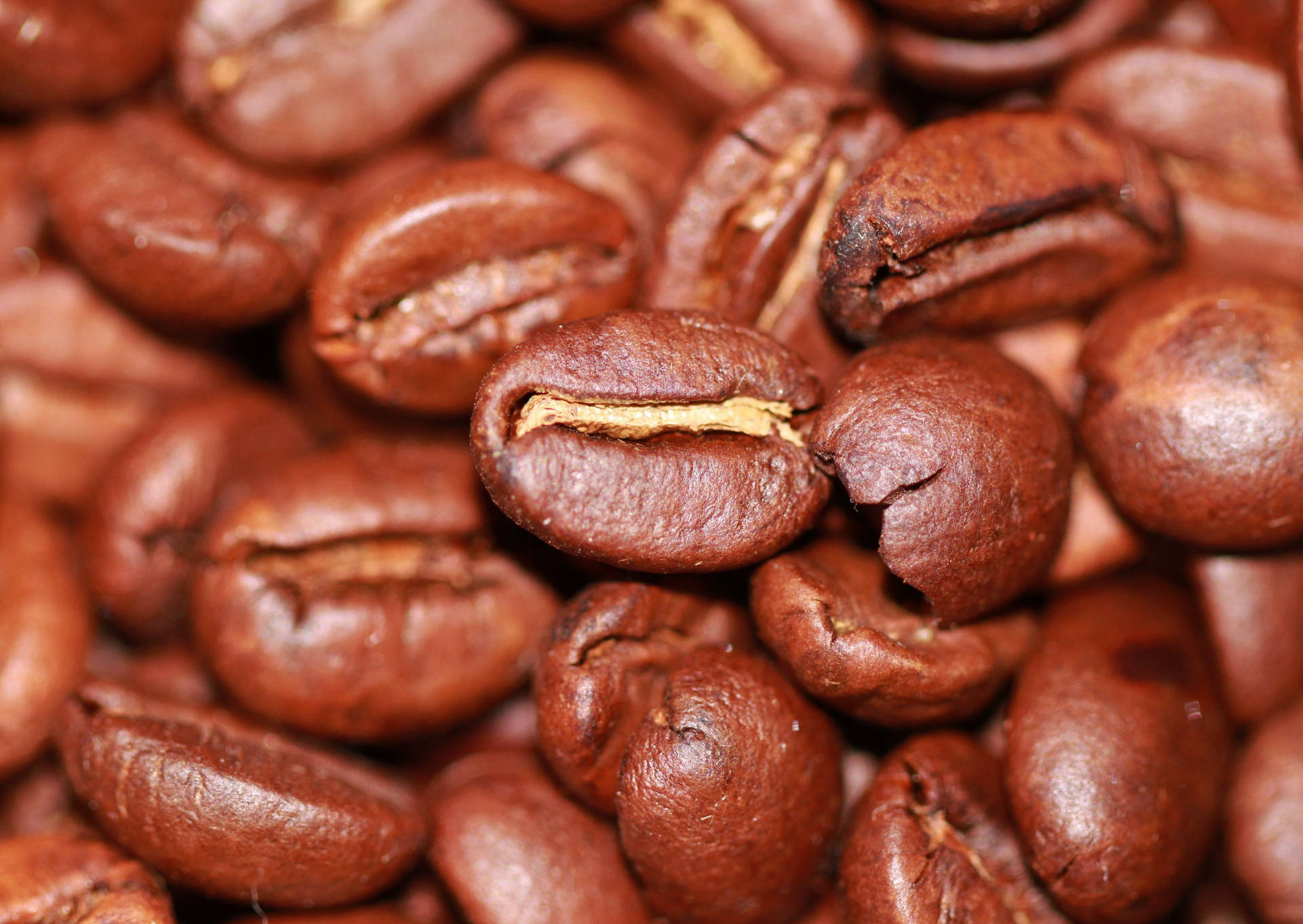 Extreme Close-up Coffee Beans Wallpaper