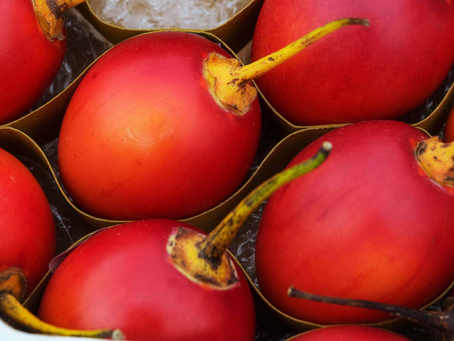 Extreme Close Up Shot Red Tamarillo Fruit Picture