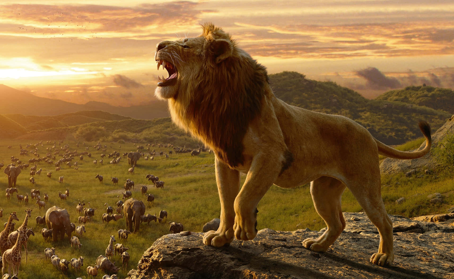 Extreme Roar Lion King Wallpaper