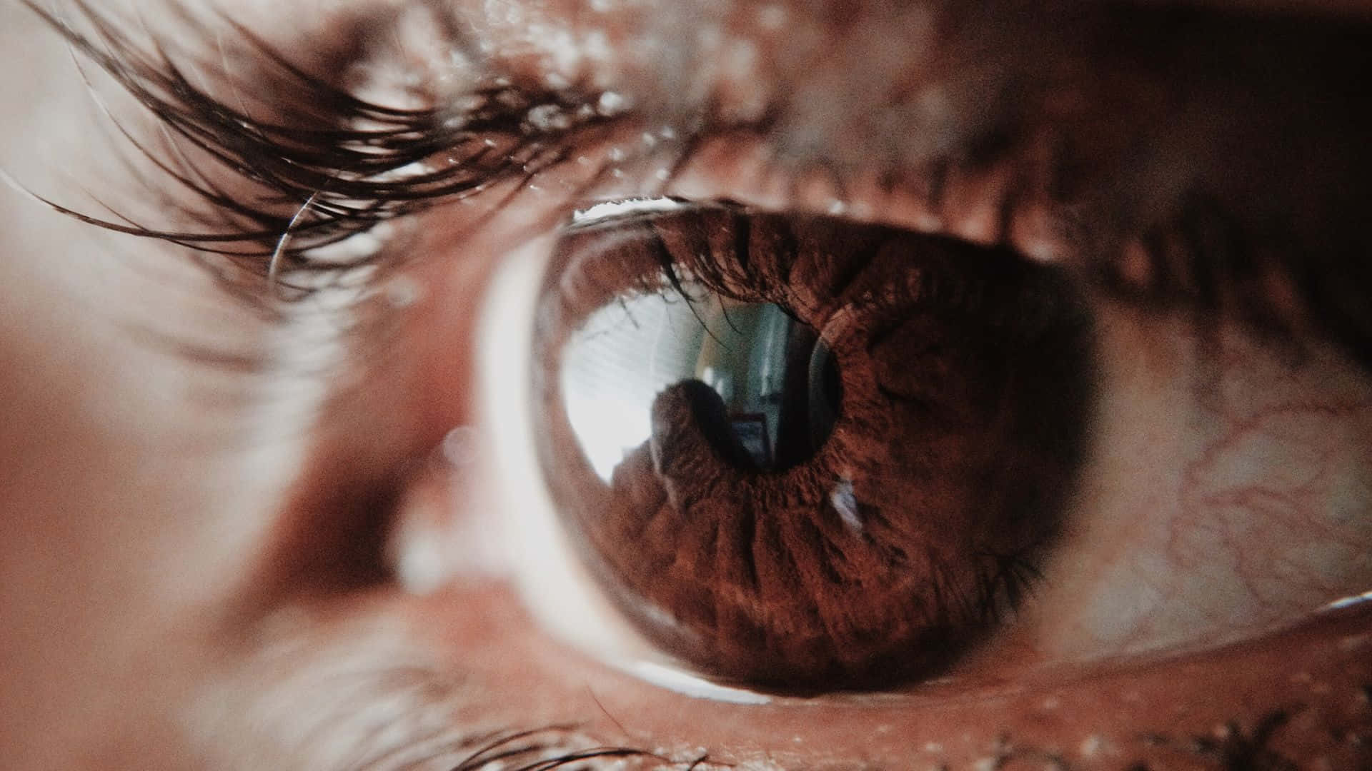 A Close Up Of A Brown Eye