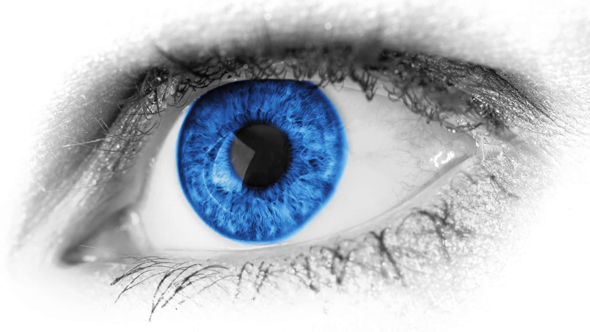 A Blue Eye With A White Background