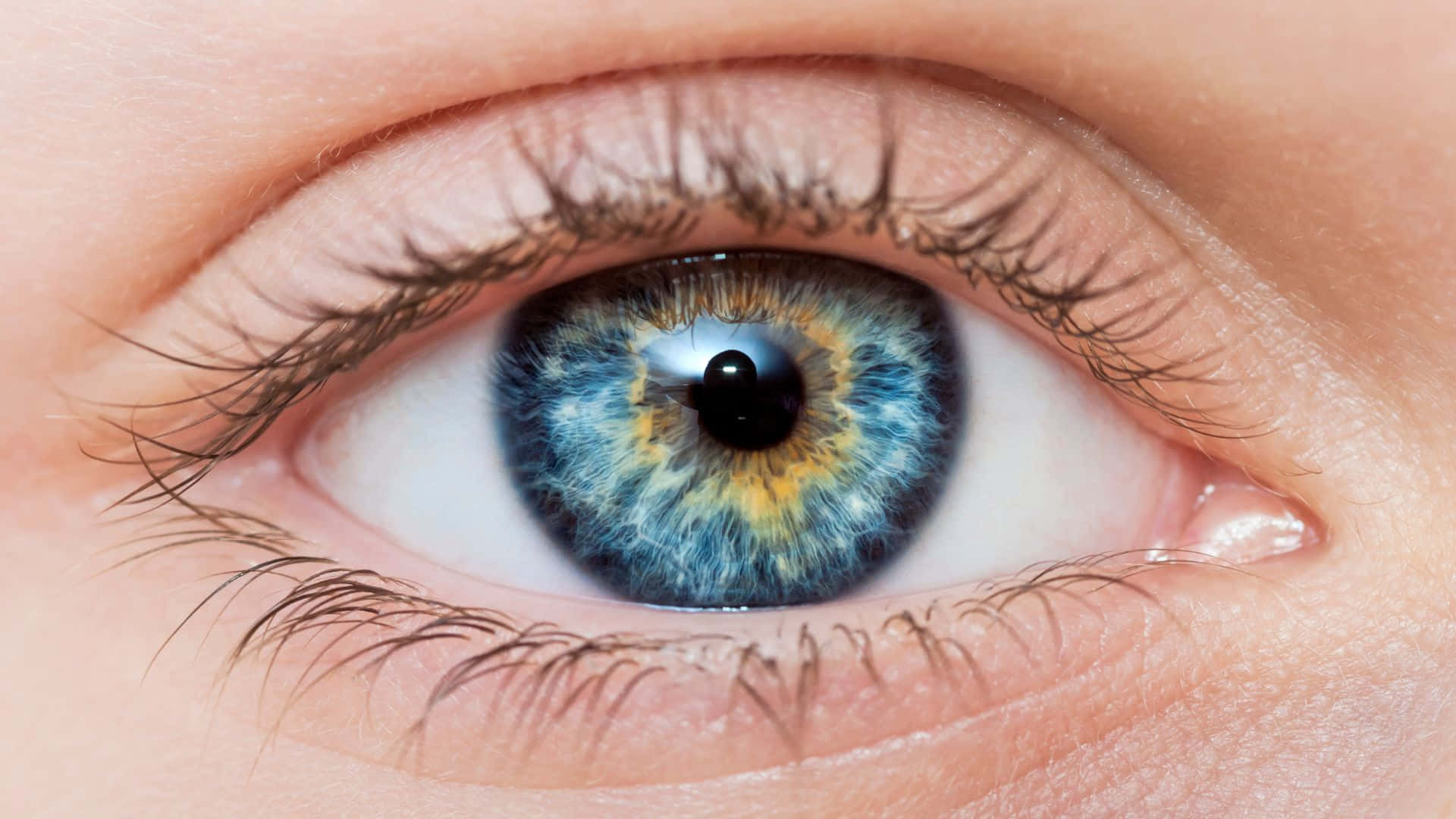 A Close Up Of A Child's Eye With Blue Iris
