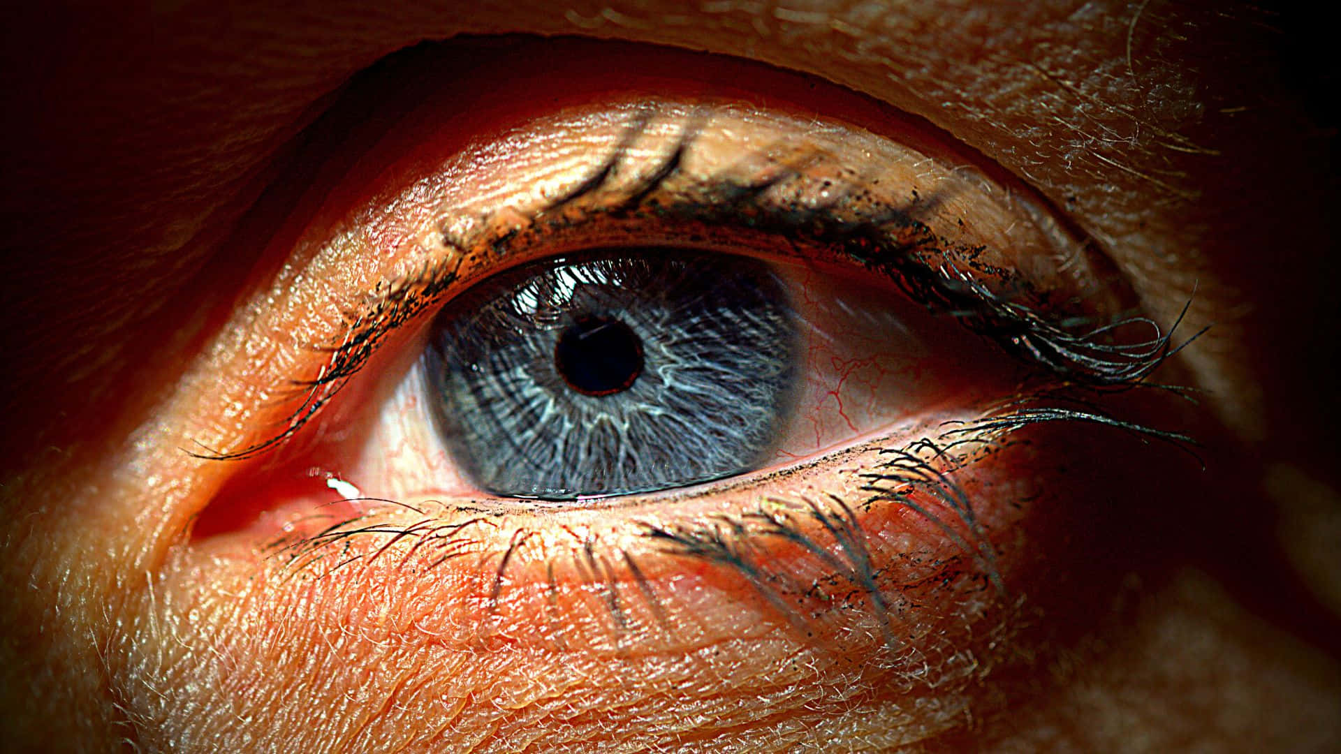 A Person's Eye