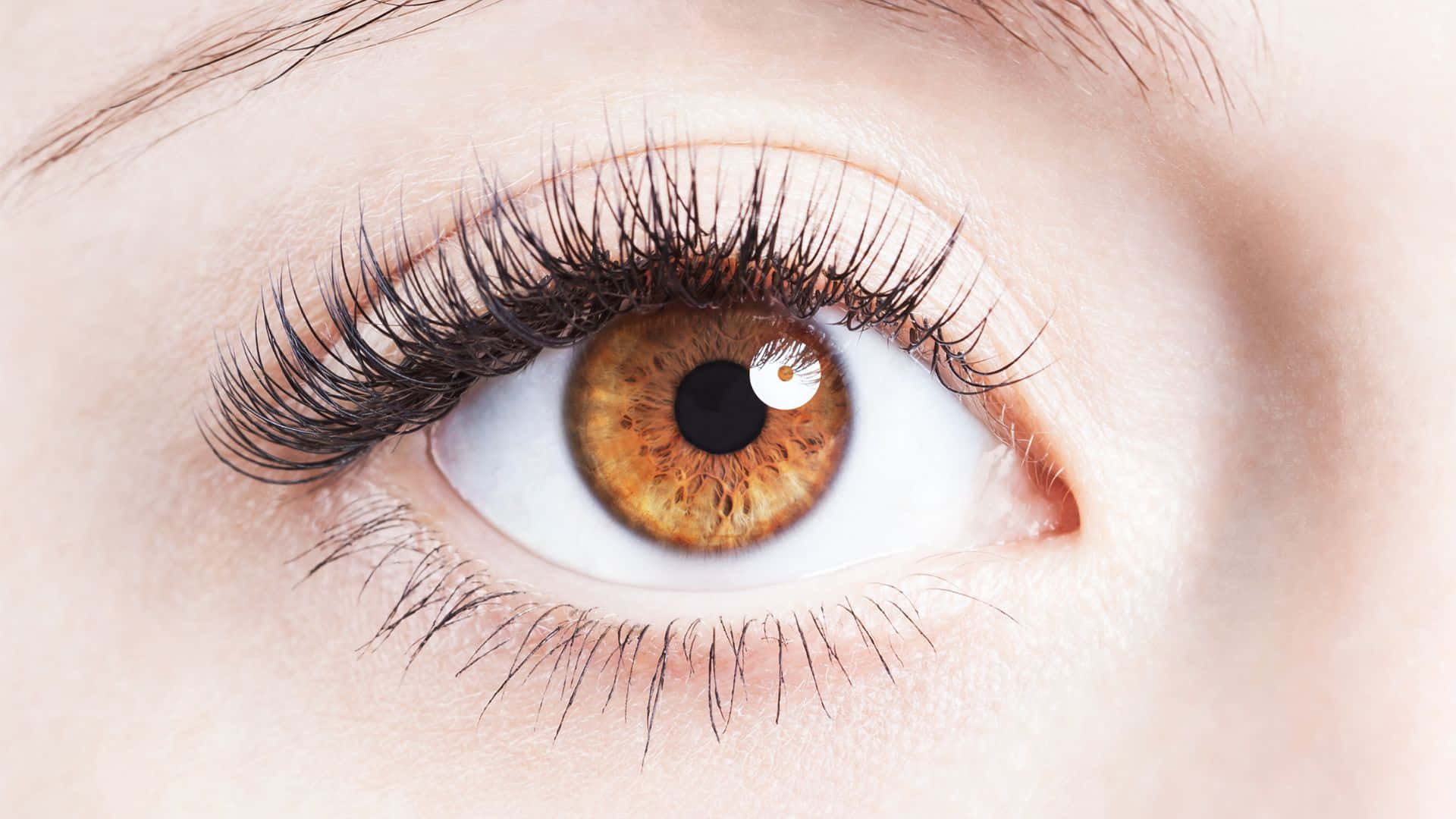 A close-up of a human eye.