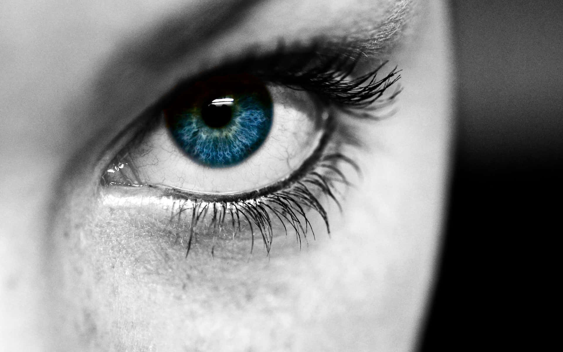 Einenahaufnahme Eines Blauen Auges Einer Frau
