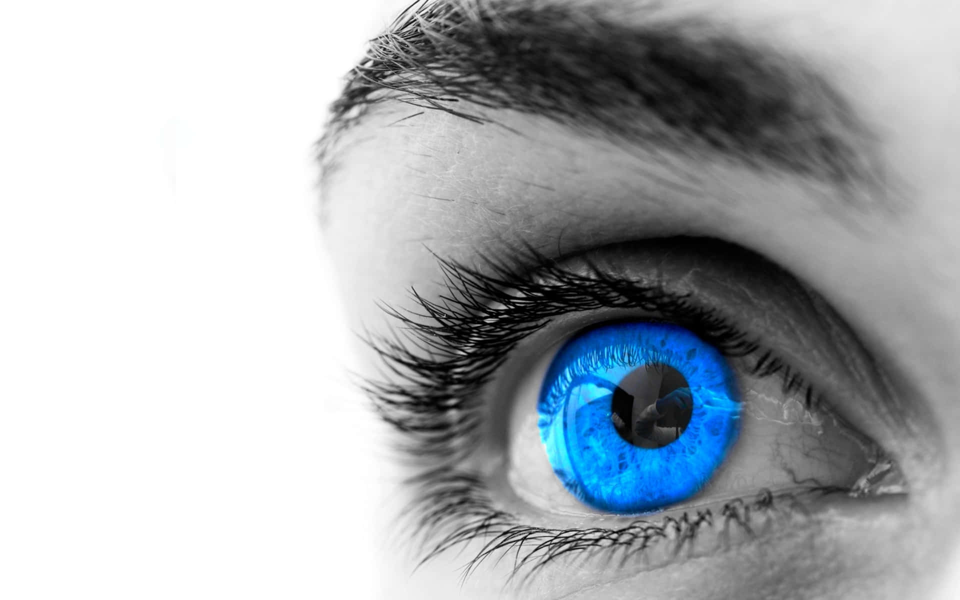 A close-up of a beautiful blue eye.